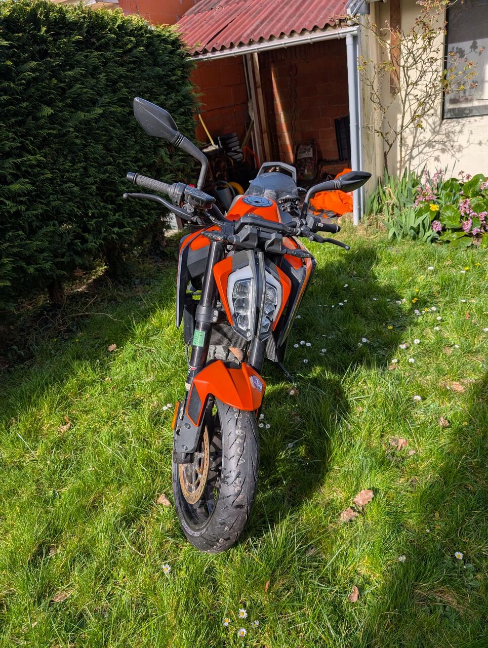 Photo KTM DUKE 890 ABS