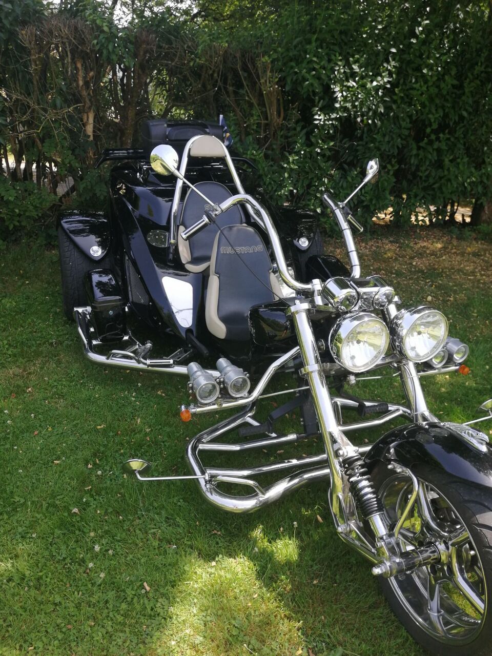 Photo TRIKE BOOM MUSTANG ST1