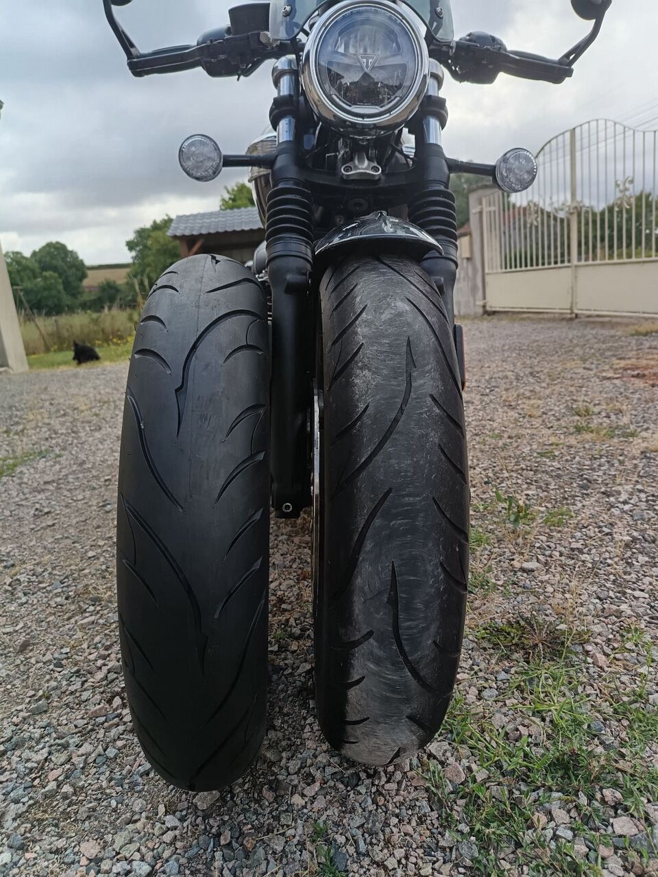 Photo TRIUMPH SPEEDMASTER