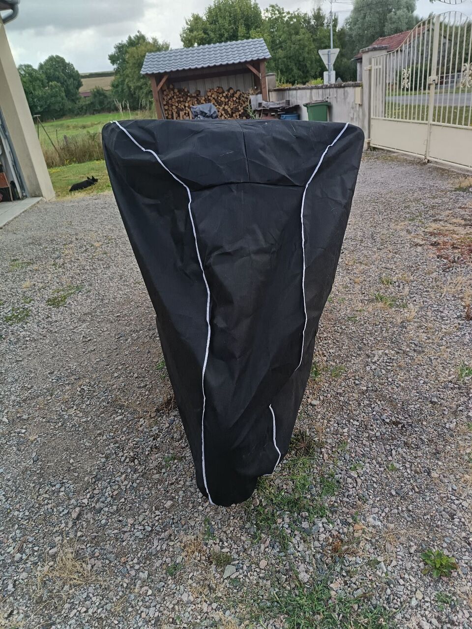 Photo TRIUMPH SPEEDMASTER