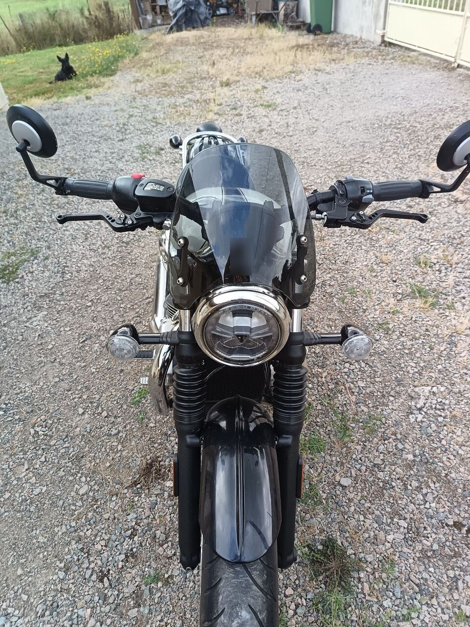 Photo TRIUMPH SPEEDMASTER