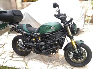 BENELLI LEONCINO 800 BENELLI LEONCINO 800