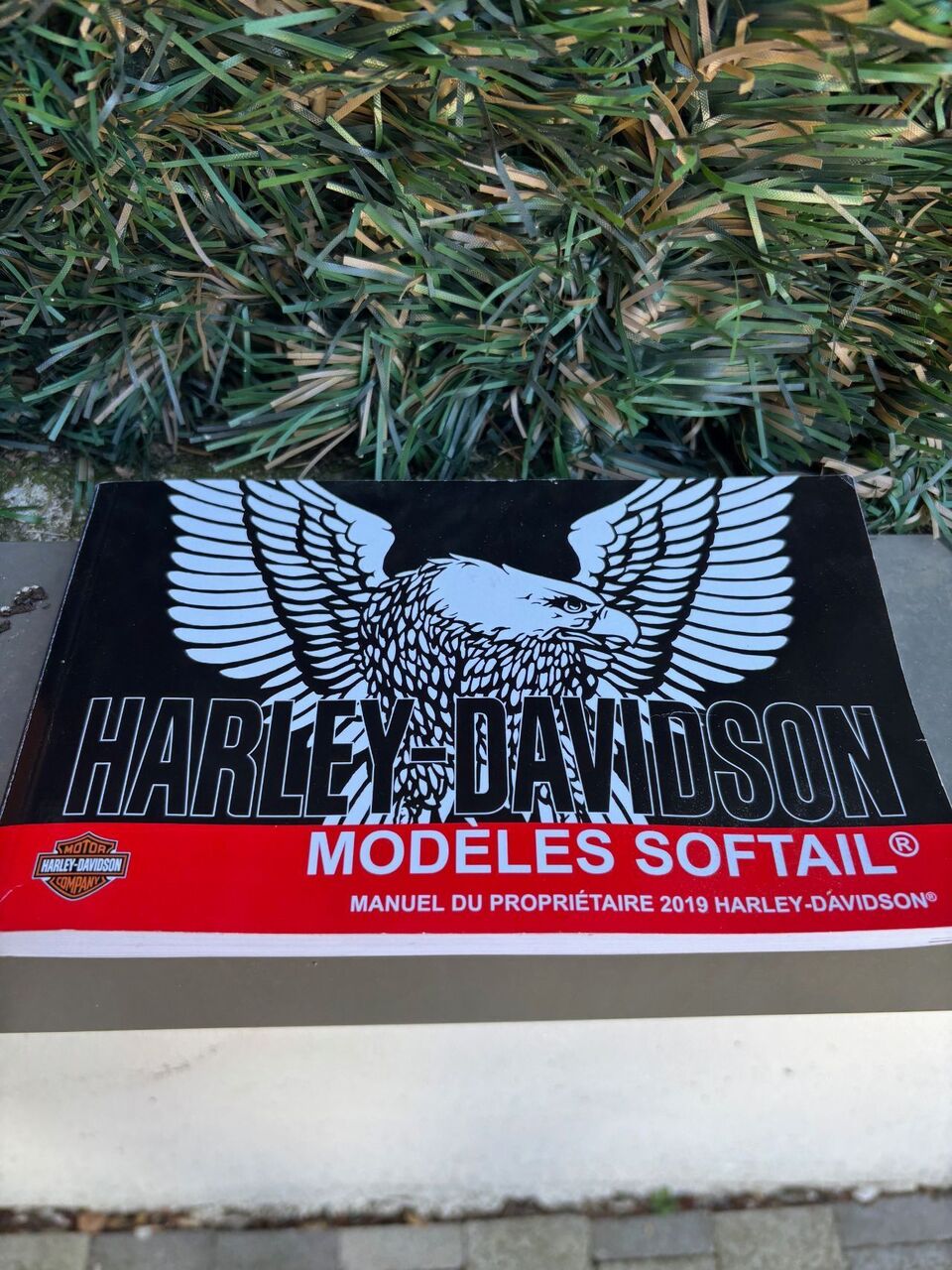 Photo HARLEY DAVIDSON SPORT