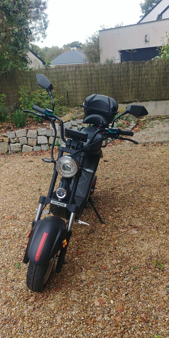 Photo DAYI MOTOR E-THOR - 50