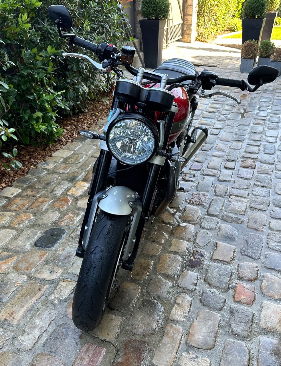 Photo TRIUMPH SPEED TWIN RED