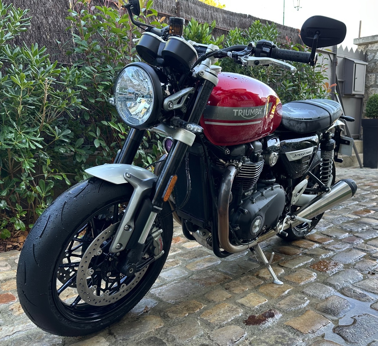 Photo TRIUMPH SPEED TWIN RED