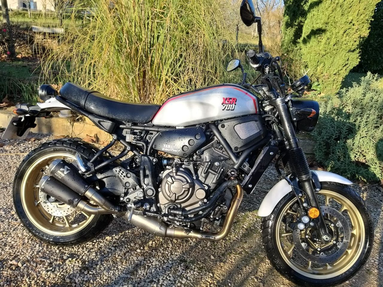 Photo YAMAHA XSR 700 ABS