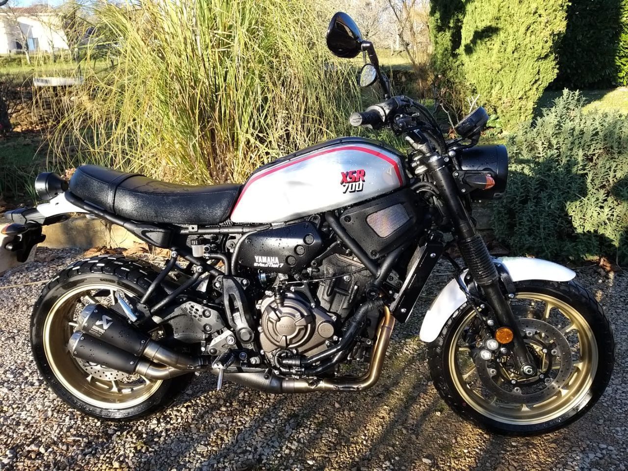 Photo YAMAHA XSR 700 ABS