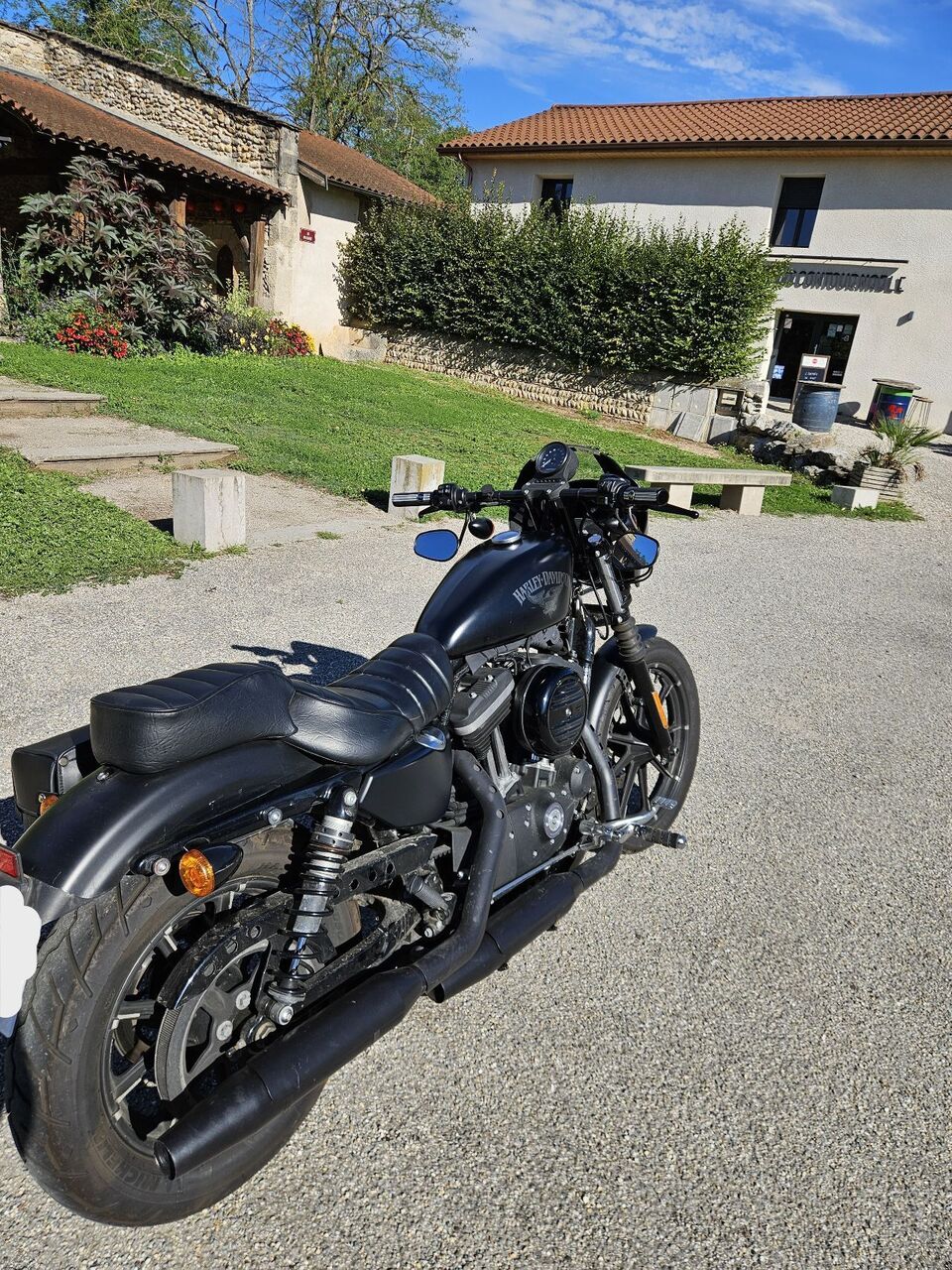 Photo HARLEY DAVIDSON 883