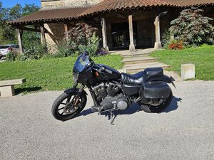 HARLEY DAVIDSON SPORTSTER 883 IRON