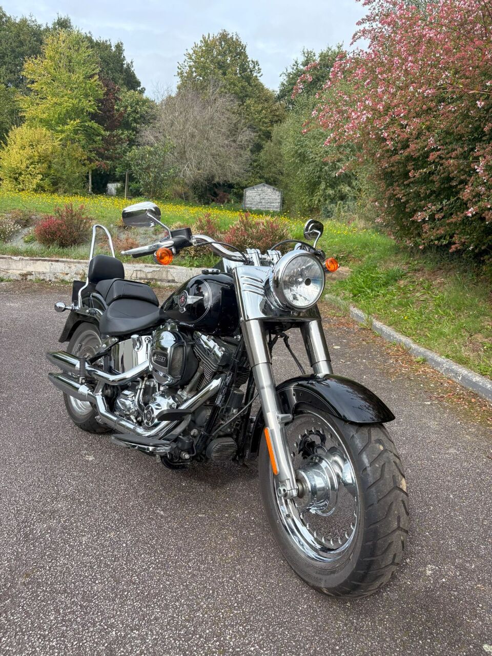 Photo HARLEY DAVIDSON FAT