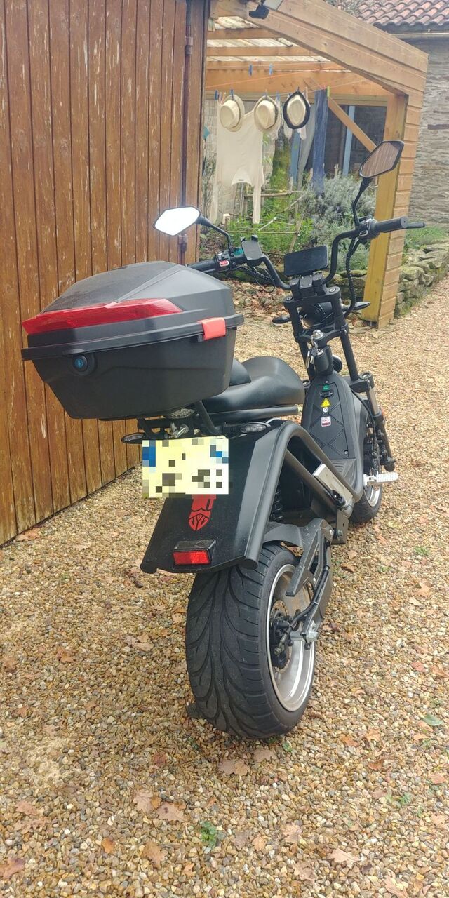 Photo DAYI MOTOR E-THOR - 50