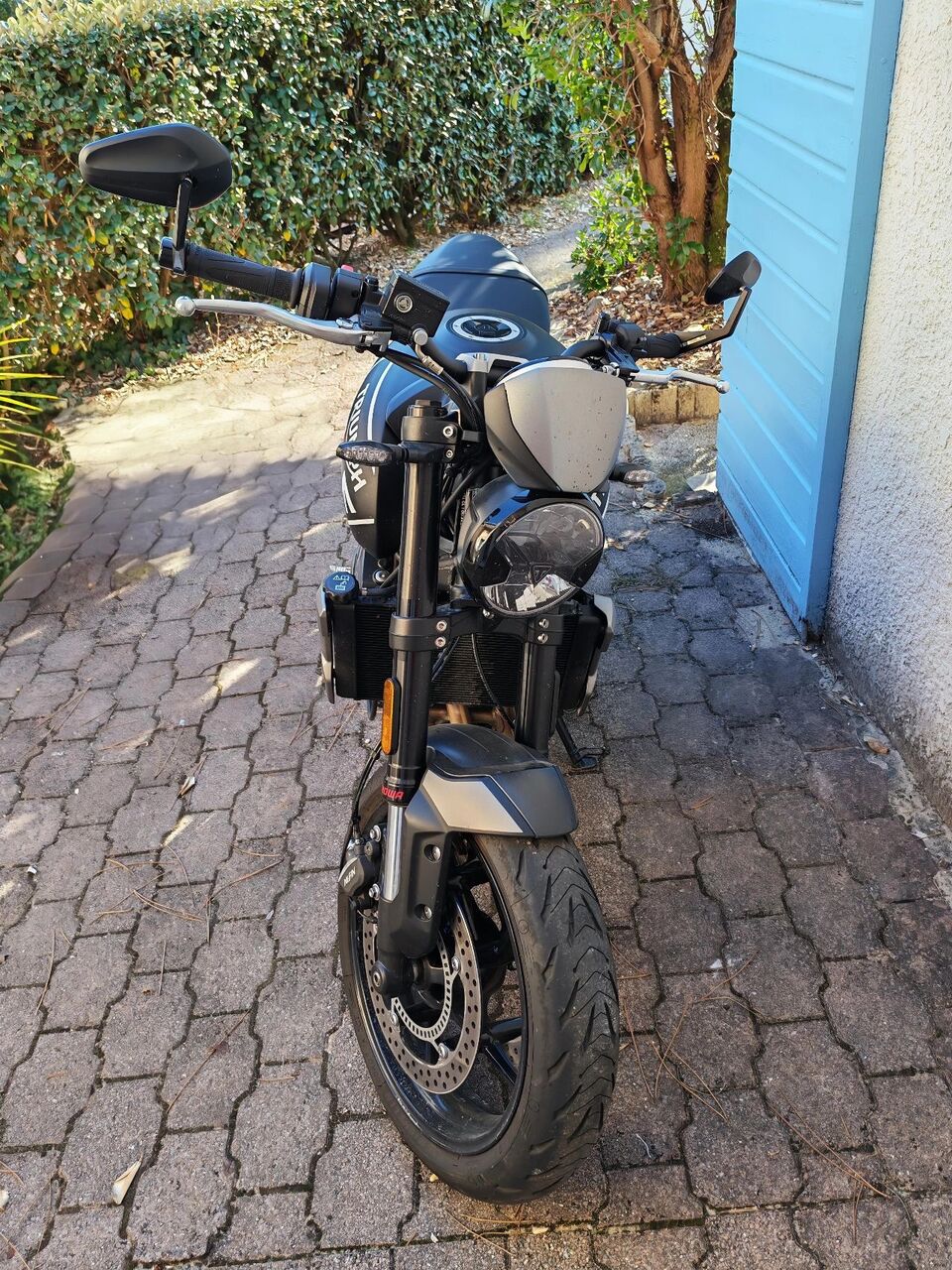 Photo TRIUMPH TRIDENT 660