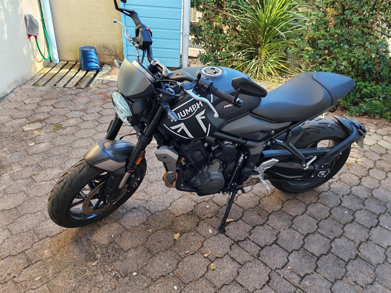 Photo TRIUMPH TRIDENT 660