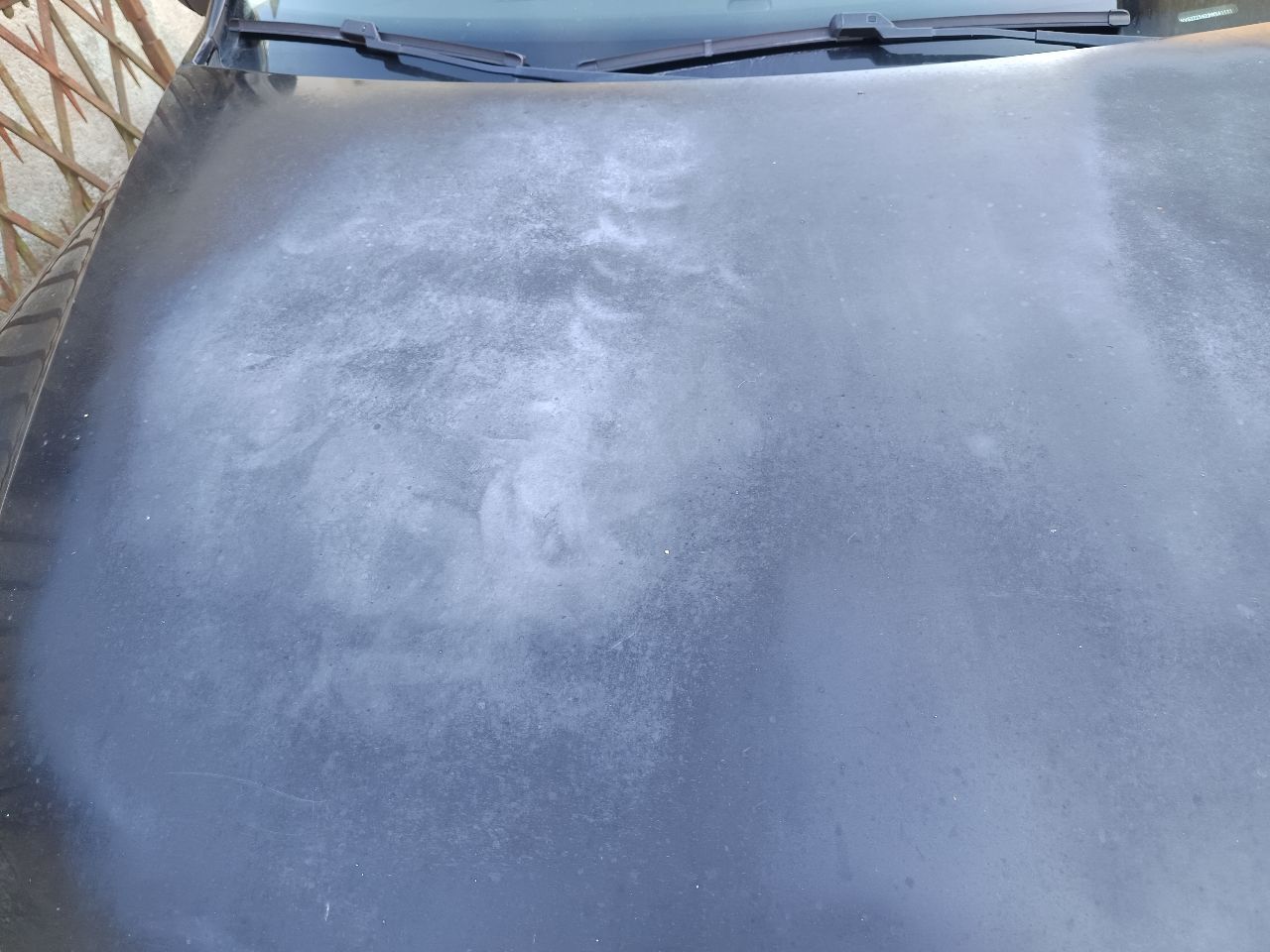 Photo VOLKSWAGEN TIGUAN