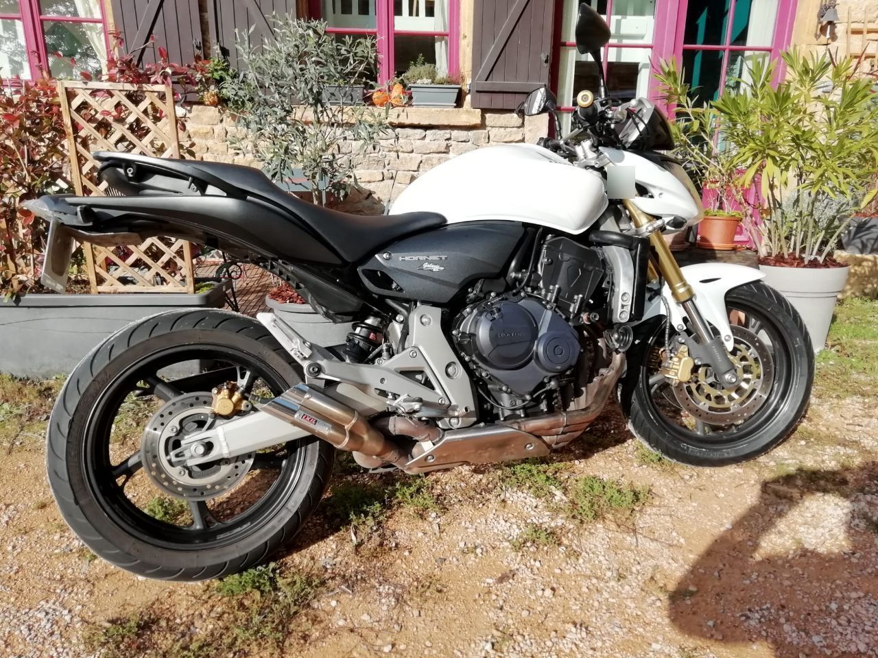 Photo HONDA HORNET 600