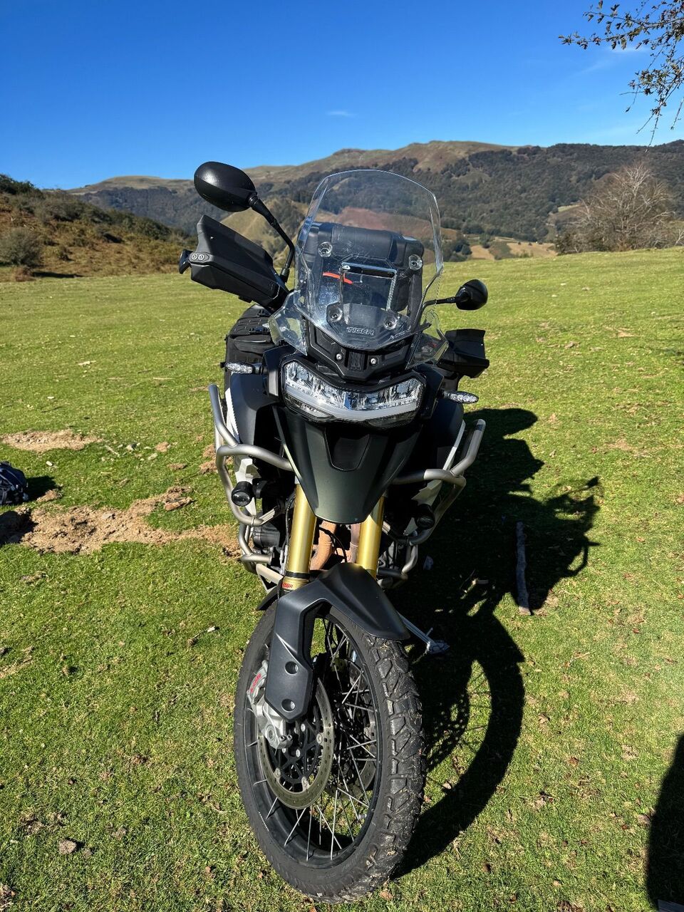 Photo TRIUMPH TIGER 1200 PRO