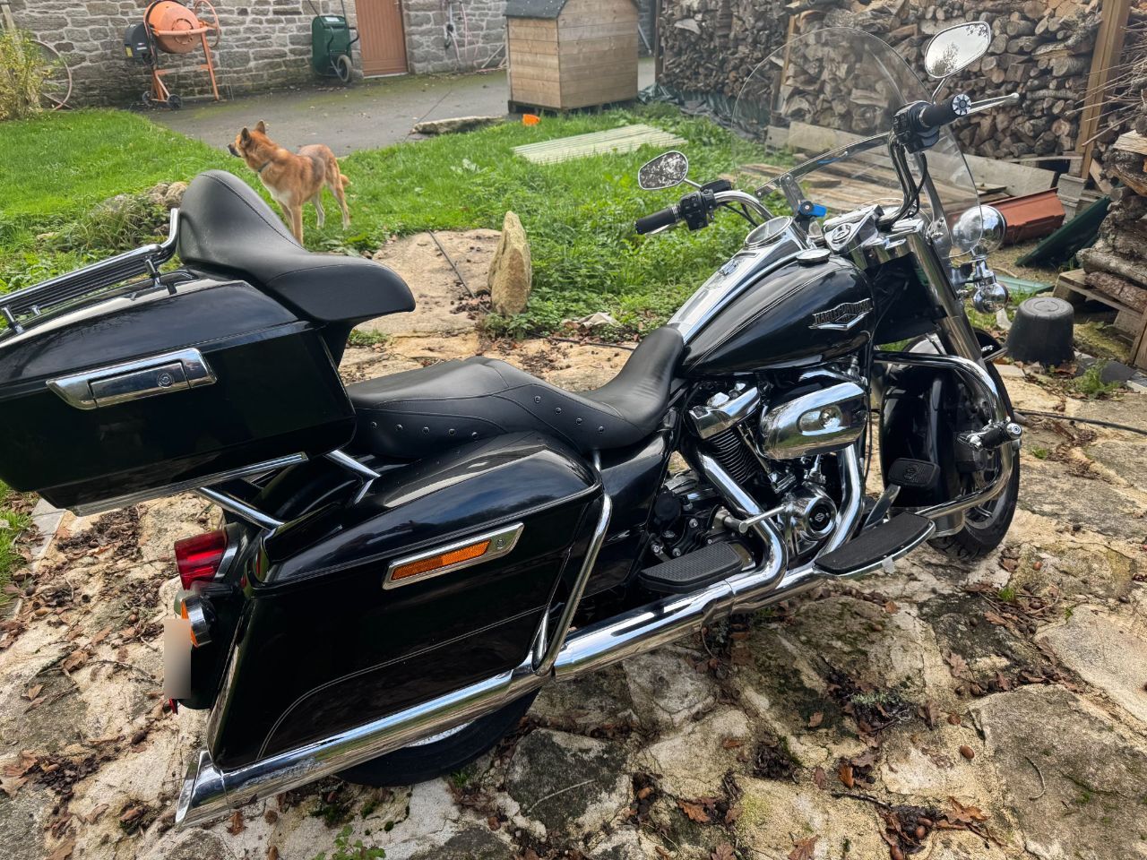 Photo HARLEY DAVIDSON ROAD