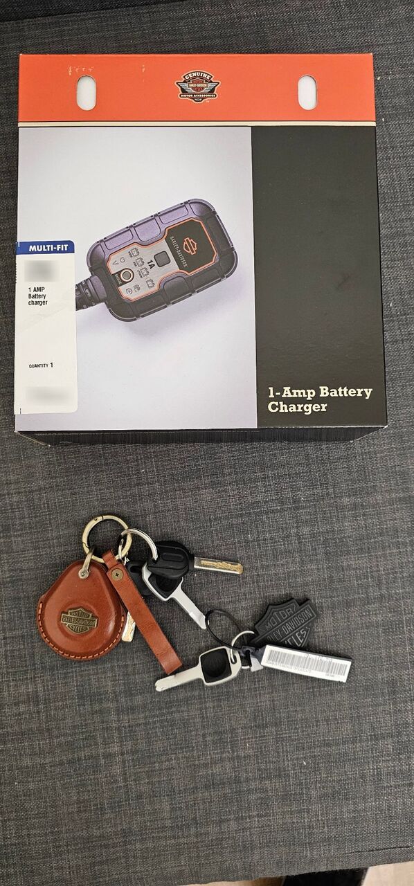 Photo HARLEY DAVIDSON 1745