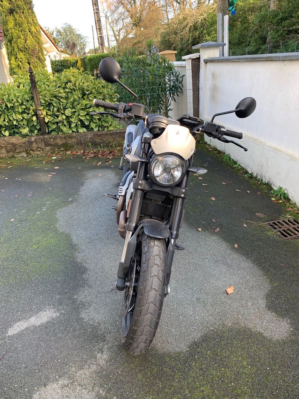 Photo DUCATI SCRAMBLER 1100