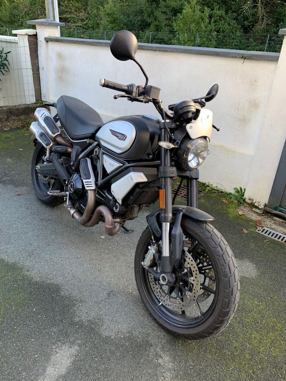 Photo DUCATI SCRAMBLER 1100
