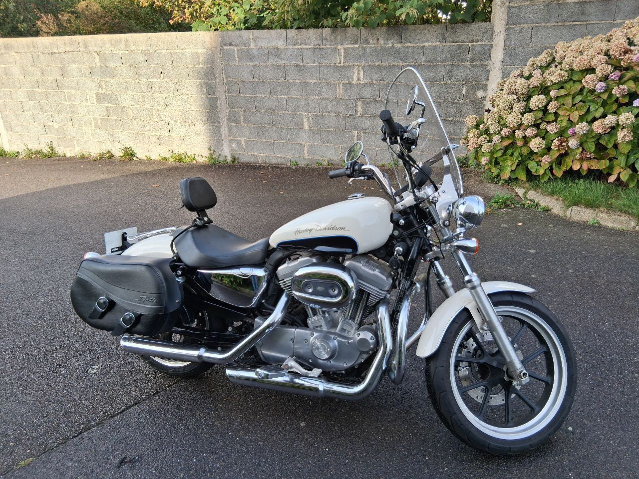 Photo HARLEY DAVIDSON 883 1