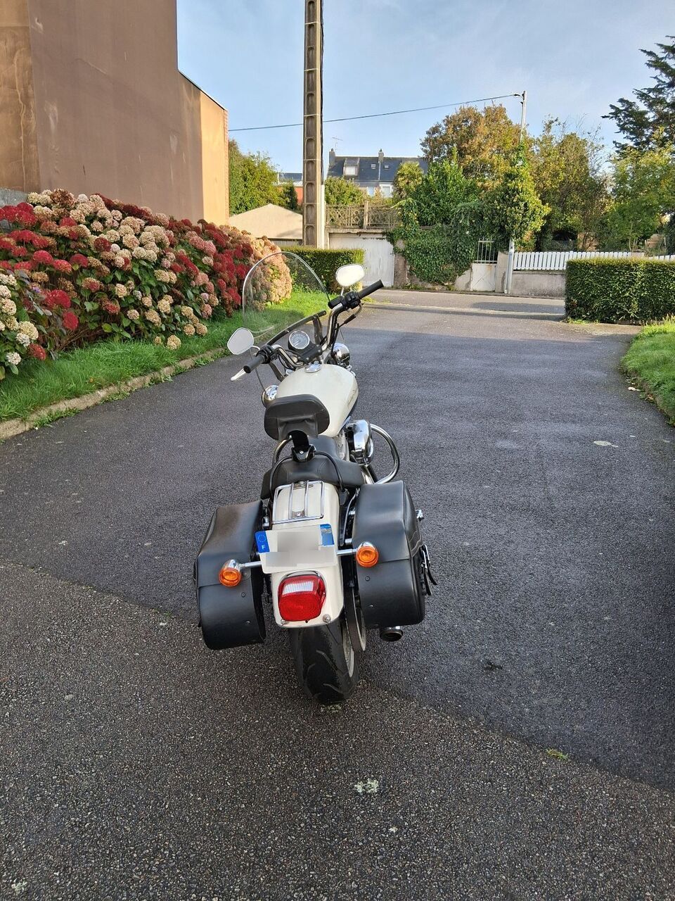 Photo HARLEY DAVIDSON 883 1