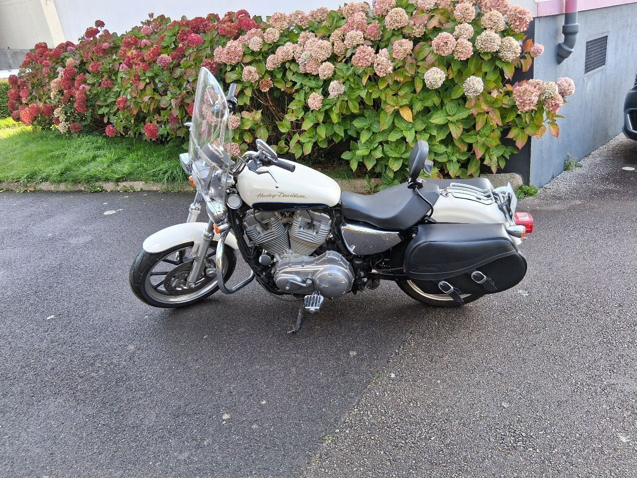 Photo HARLEY DAVIDSON 883 1