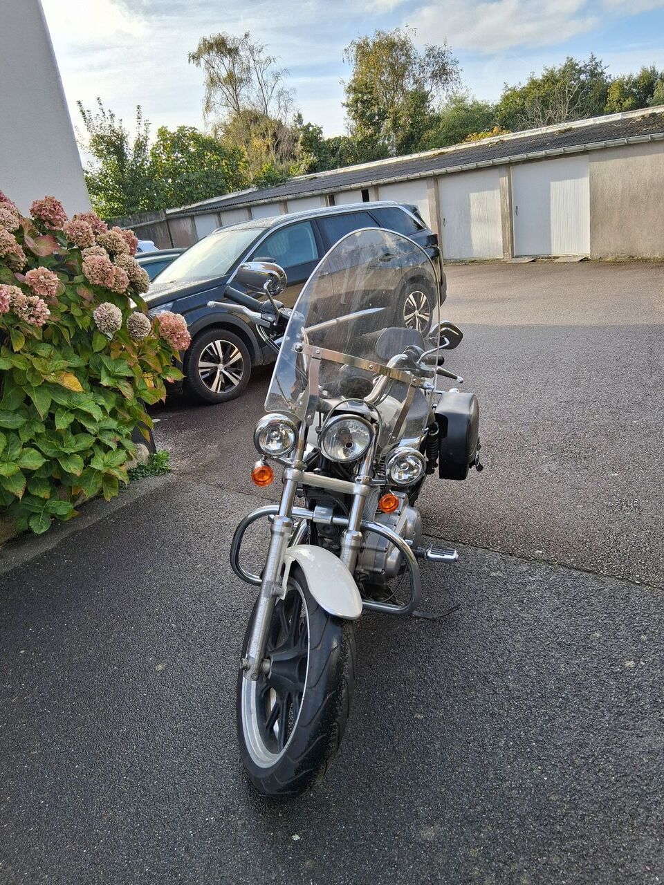 Photo HARLEY DAVIDSON 883 1