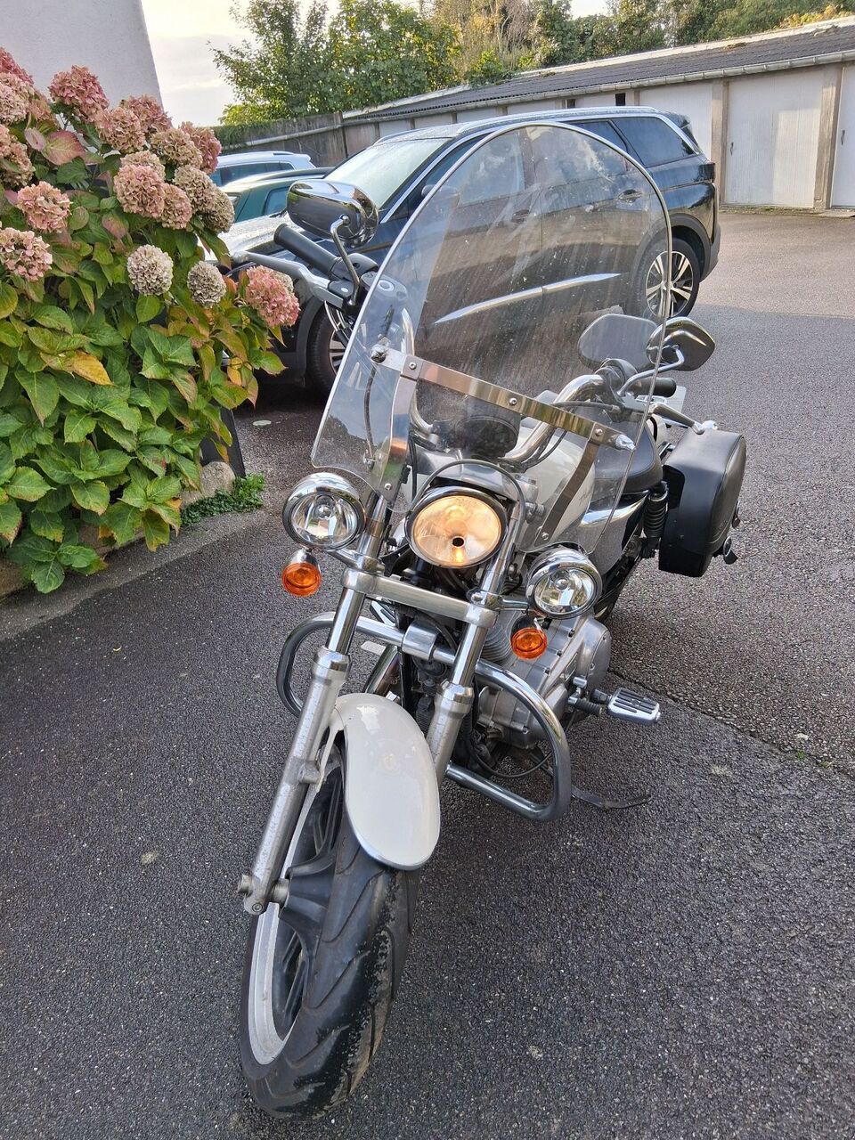 Photo HARLEY DAVIDSON 883 1