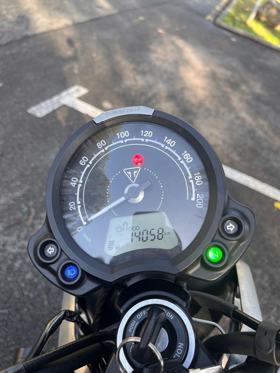 Photo TRIUMPH SPEED TWIN 900