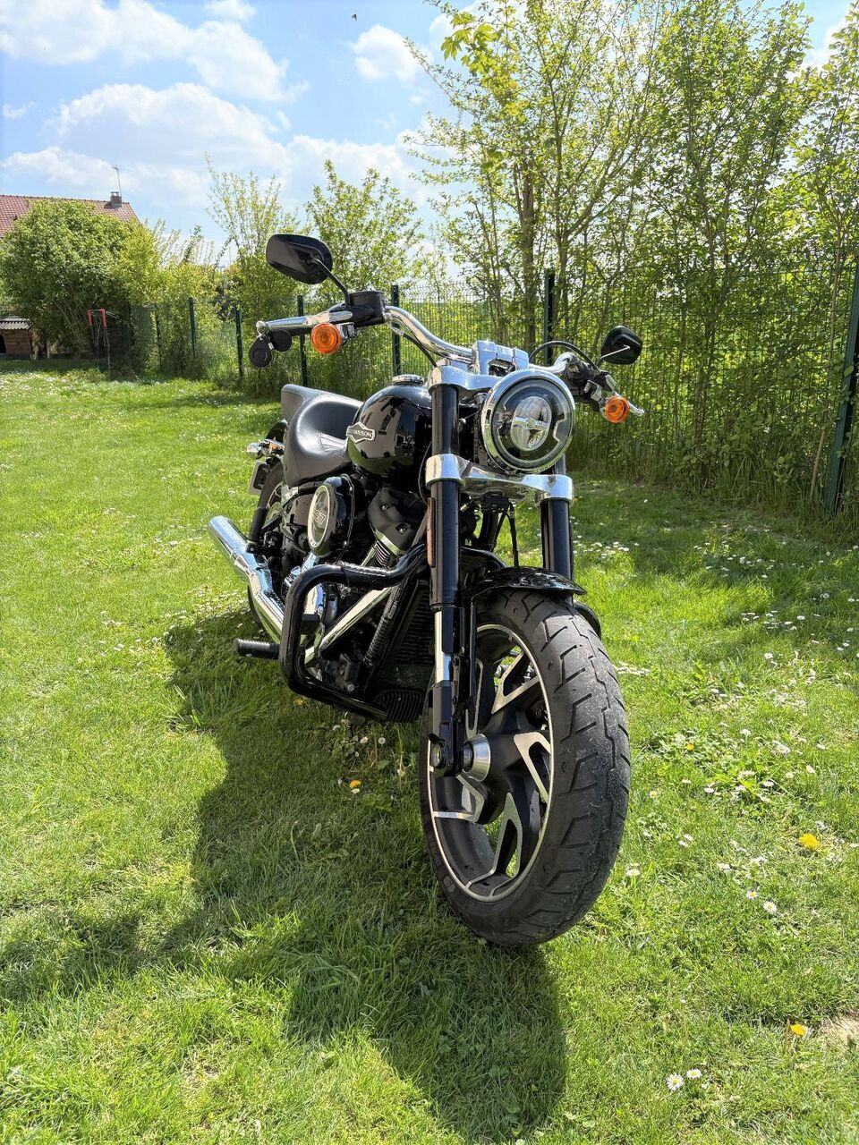 Photo HARLEY DAVIDSON SPORT