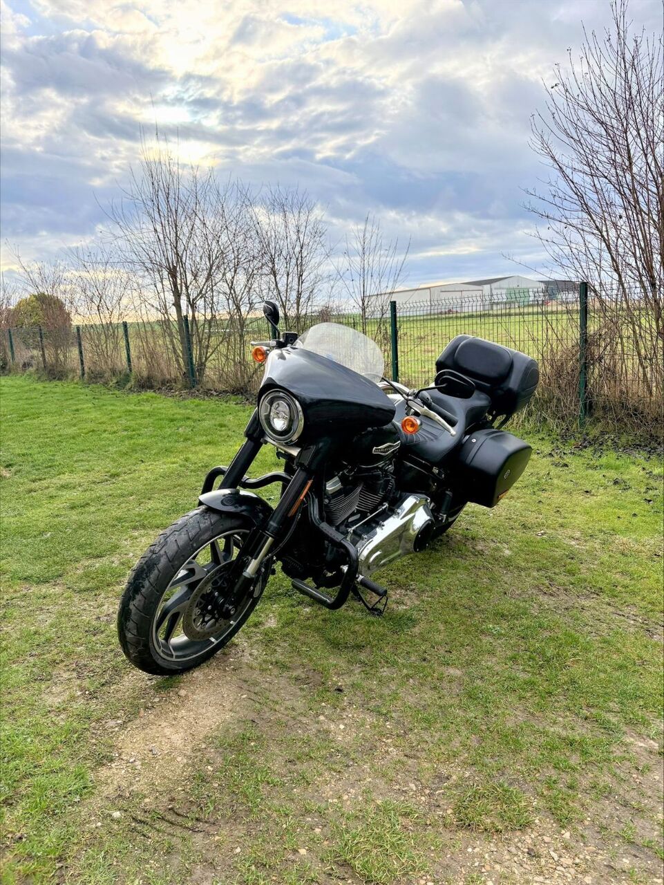 Photo HARLEY DAVIDSON SPORT