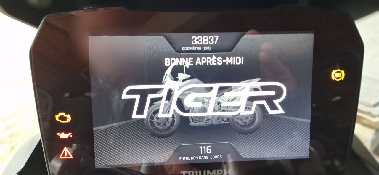 Photo TRIUMPH TIGER 900 GT