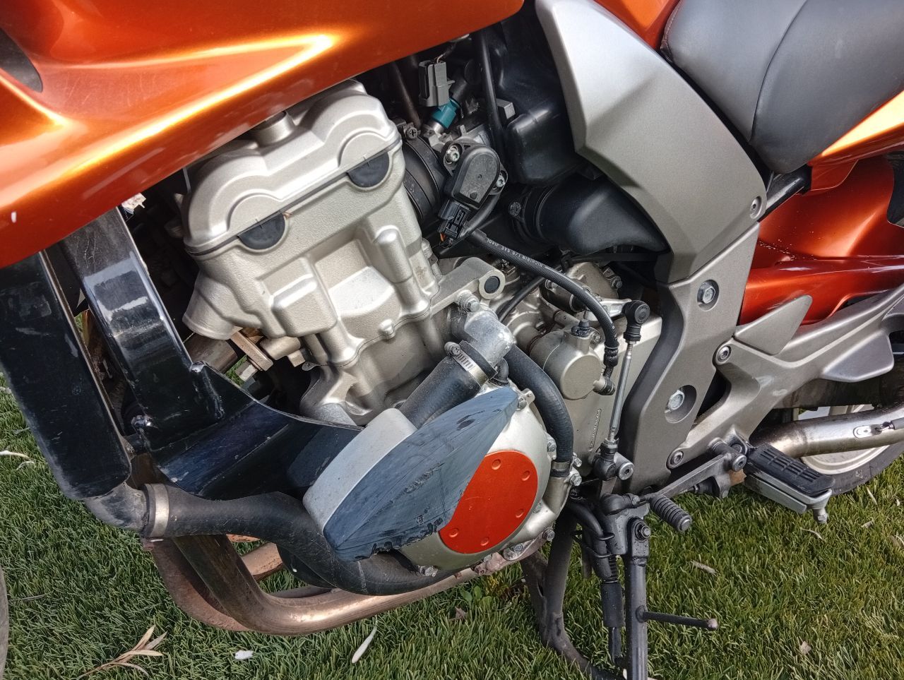 Photo HONDA CBF 1000 ABS