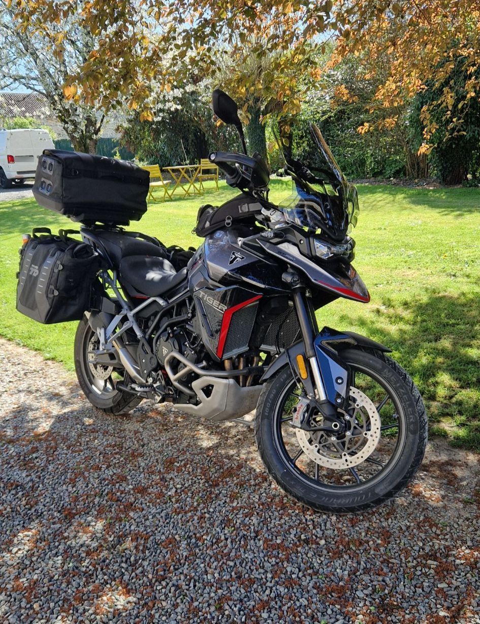 Photo TRIUMPH TIGER 900 GT