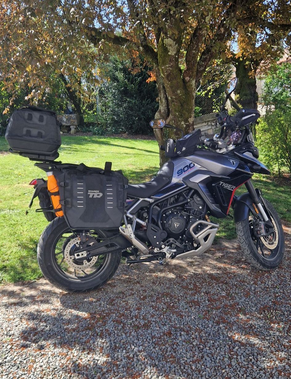 Photo TRIUMPH TIGER 900 GT