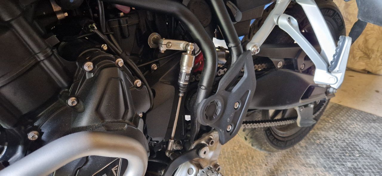 Photo TRIUMPH TIGER 900 GT