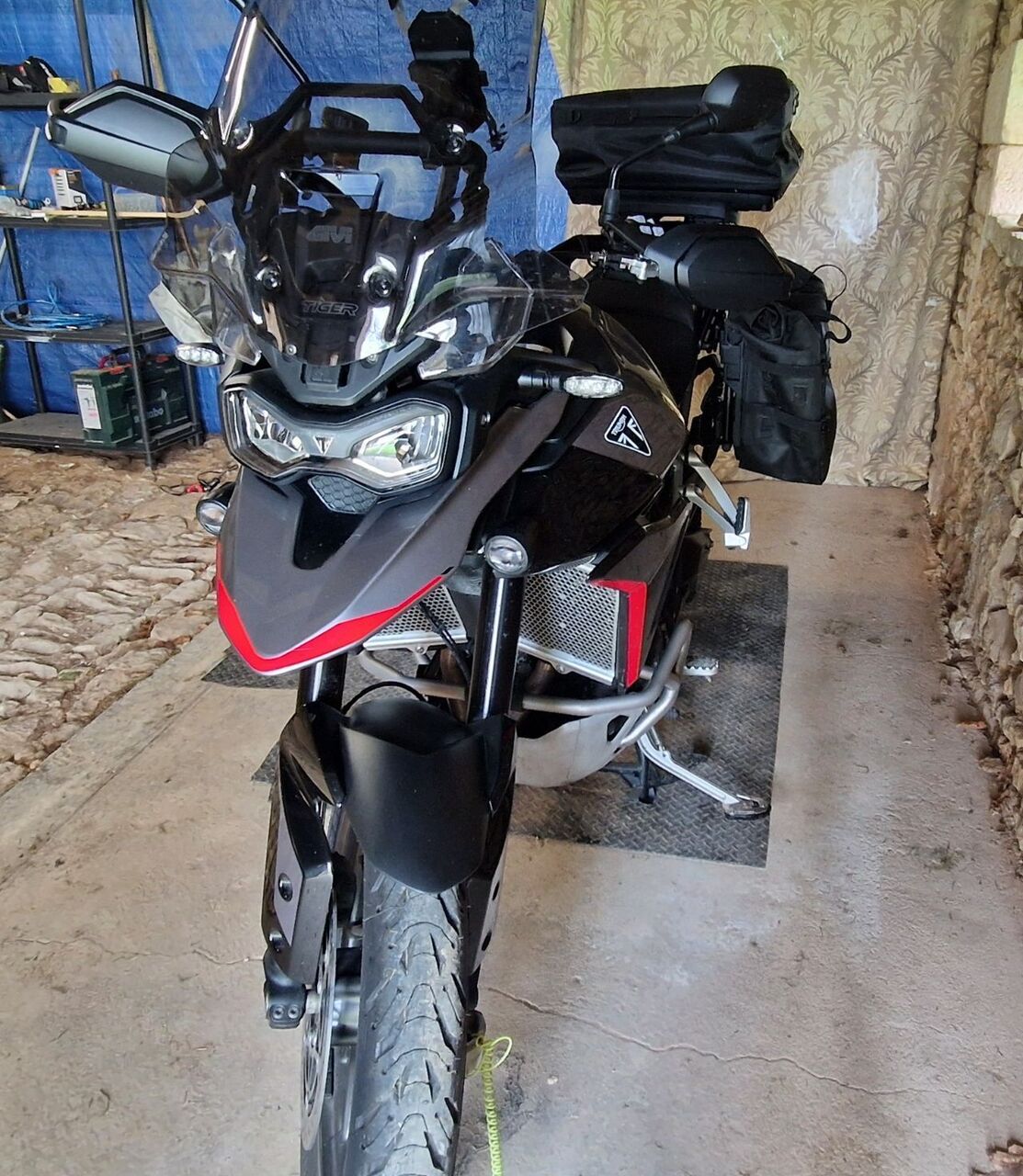 Photo TRIUMPH TIGER 900 GT