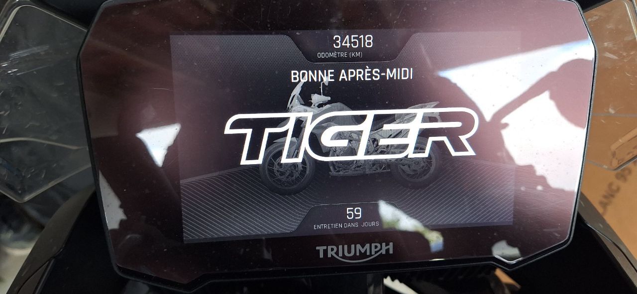 Photo TRIUMPH TIGER 900 GT