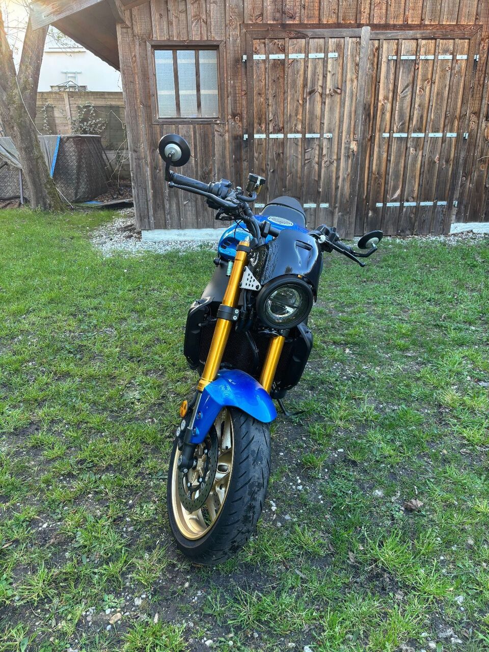 Photo YAMAHA XSR 900 ABS