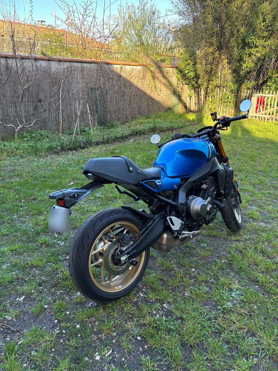 Photo YAMAHA XSR 900 ABS