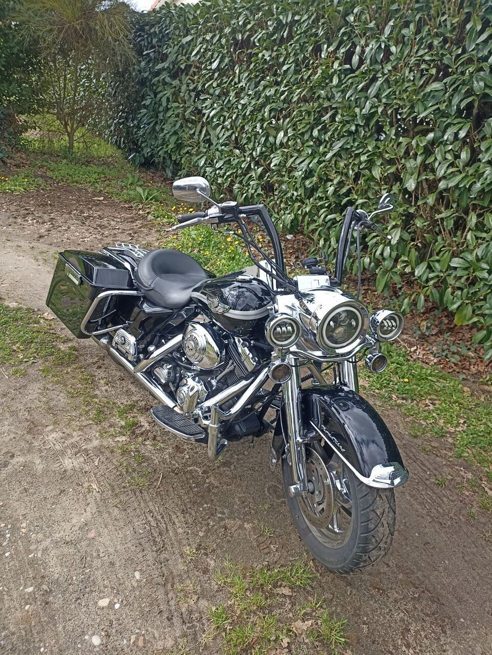 Photo HARLEY DAVIDSON ROAD