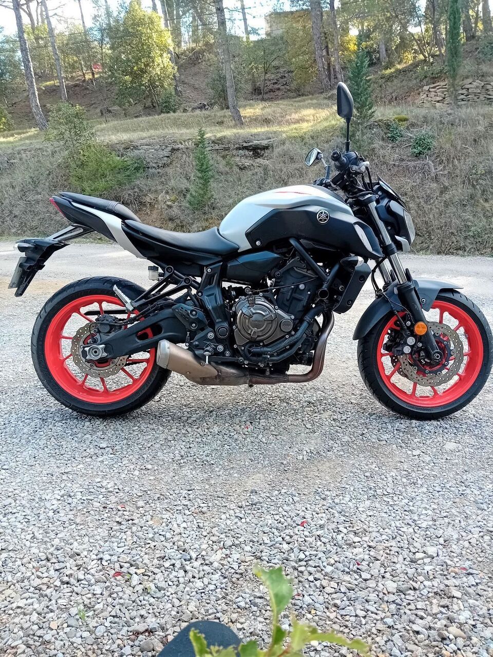 Photo YAMAHA MT