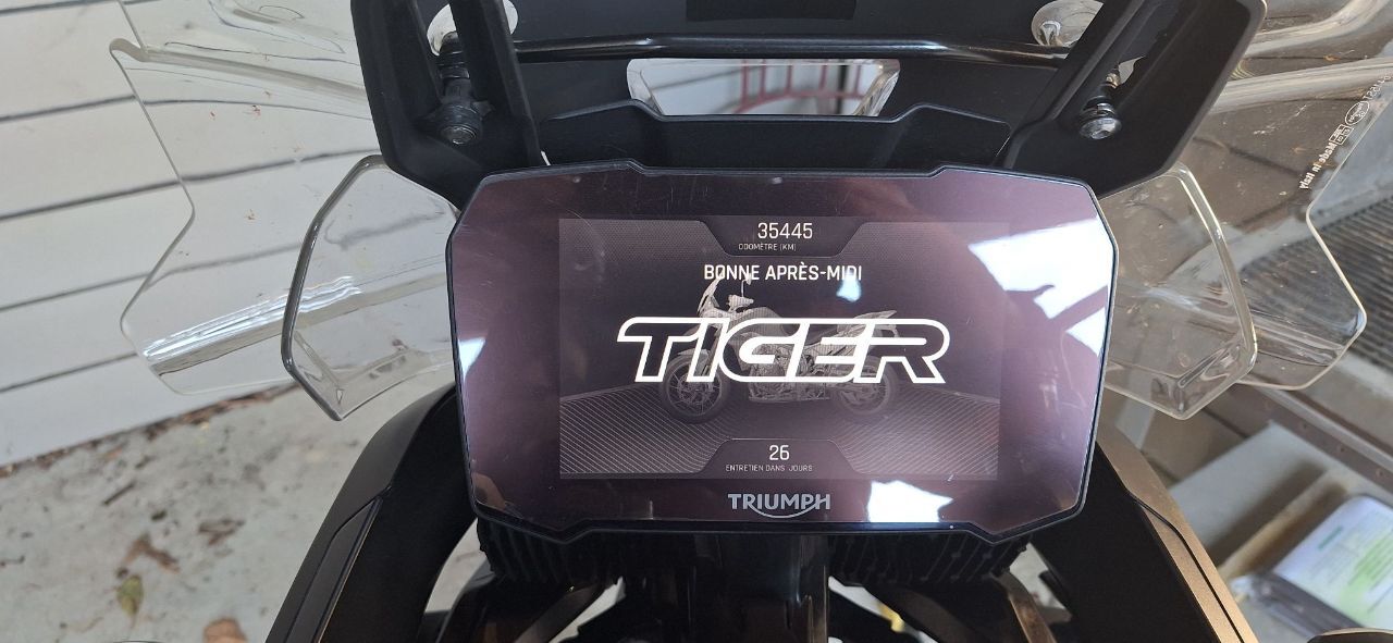 Photo TRIUMPH TIGER