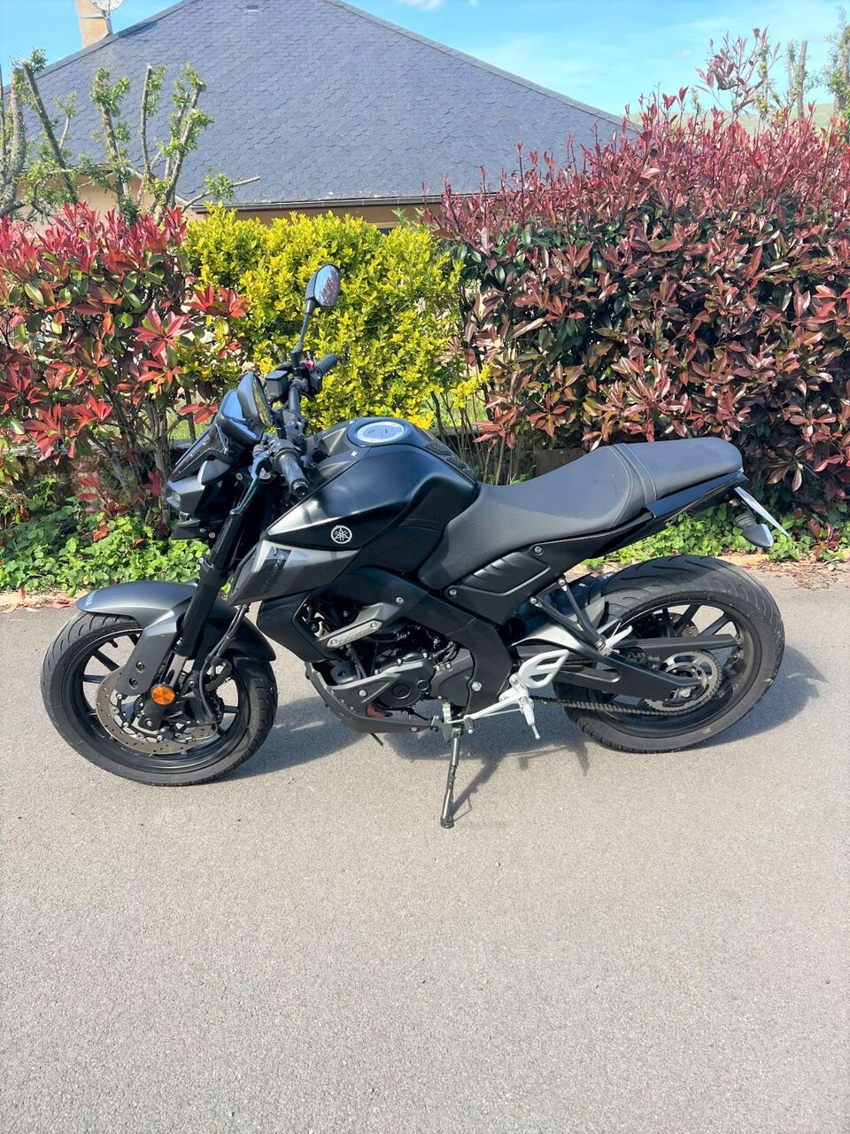Photo YAMAHA MT 125