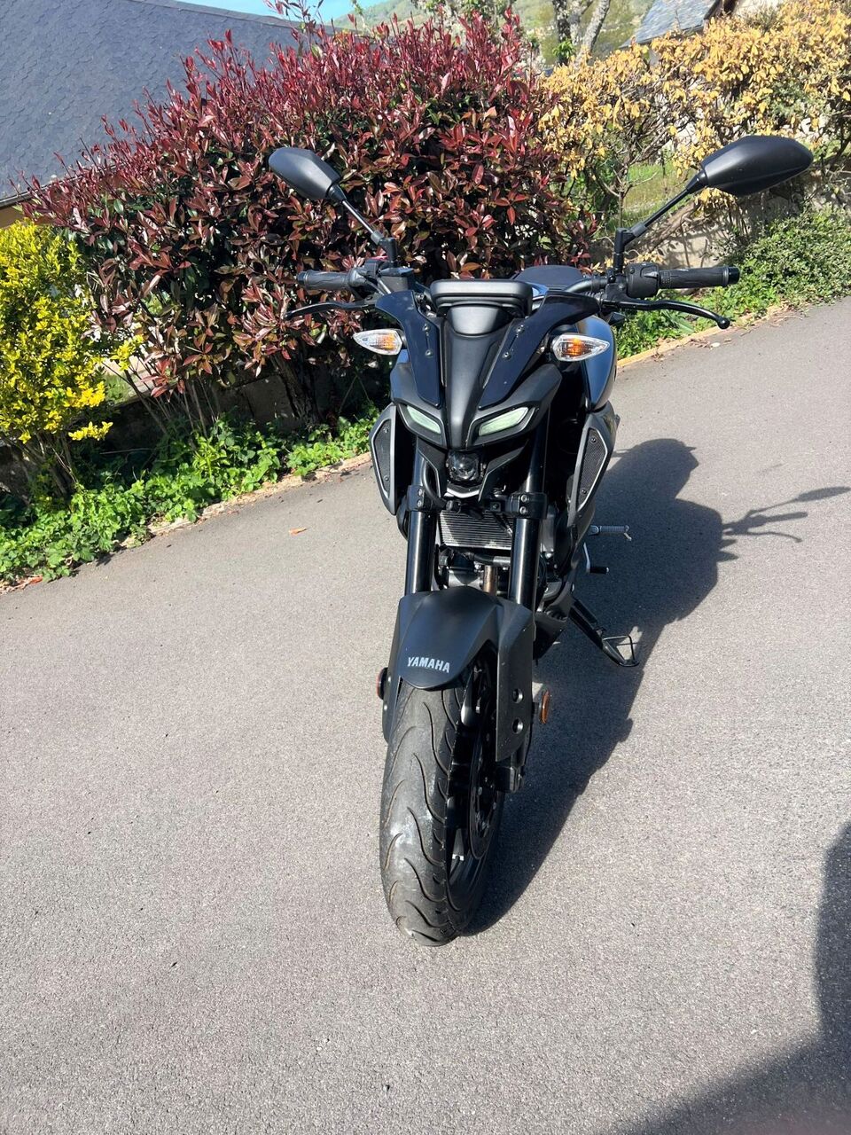 Photo YAMAHA MT 125