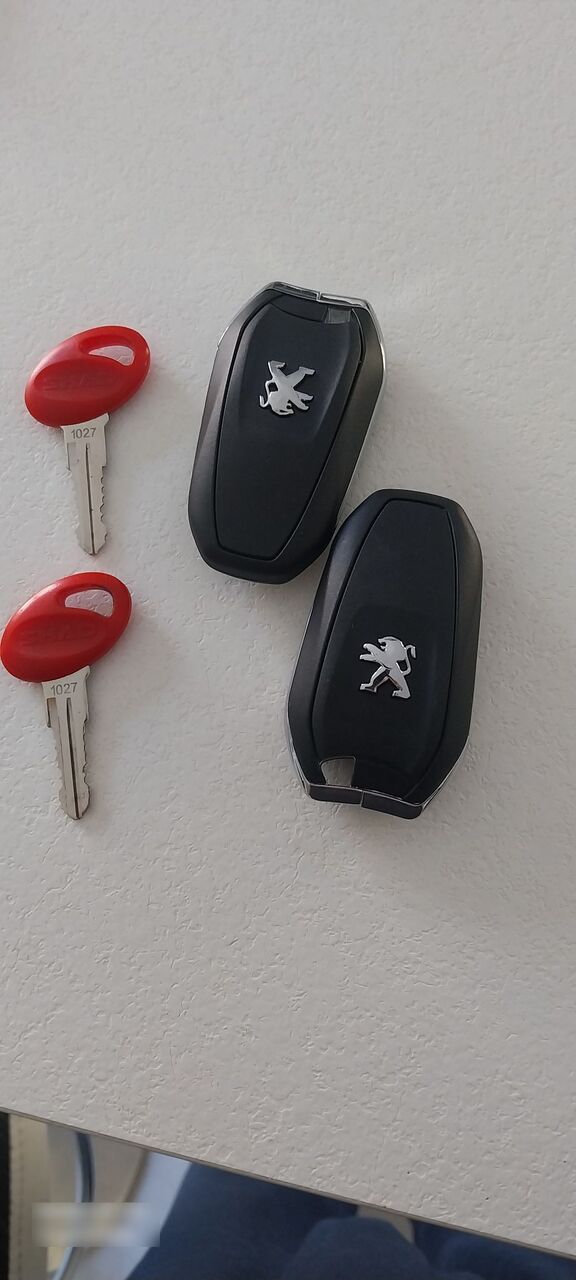 Photo PEUGEOT PULSION