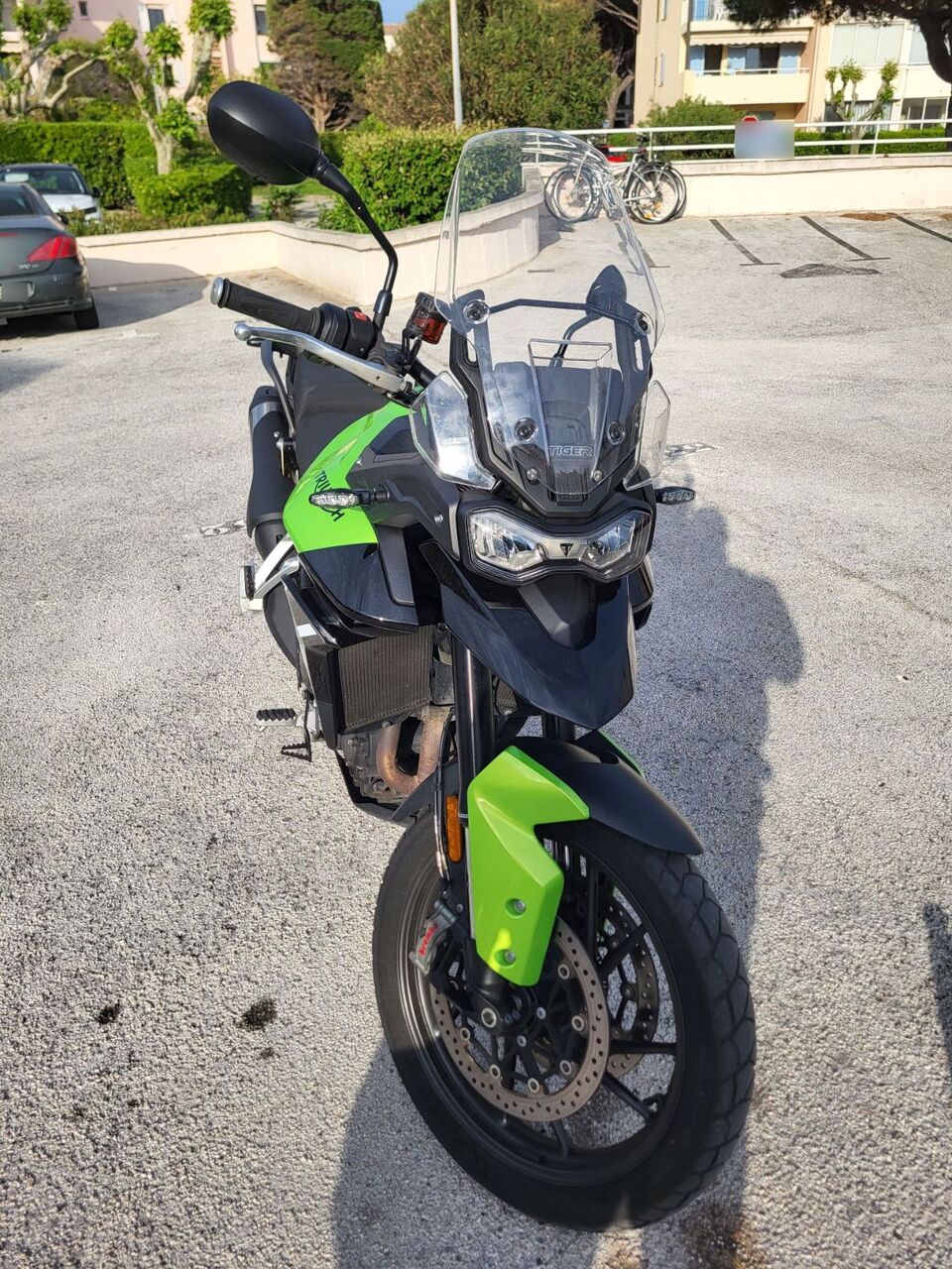 Photo TRIUMPH TIGER
