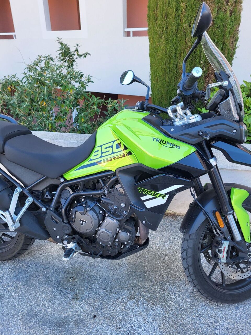 Photo TRIUMPH TIGER